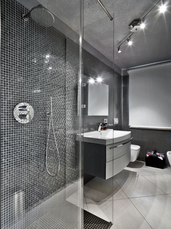 Elegant Shower Space